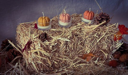 Pumpkin Tealight Candles, Halloween, Fall Decoration, Set of 3