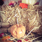 Pumpkin Candles, Halloween, Fall Decoration