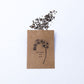 Forget Me Not - Seeds & Packets Wildflower - Rubee Seeds & Gifts