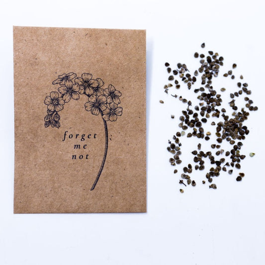 Forget Me Not - Seeds & Packets - Rubee Seeds & Gifts
